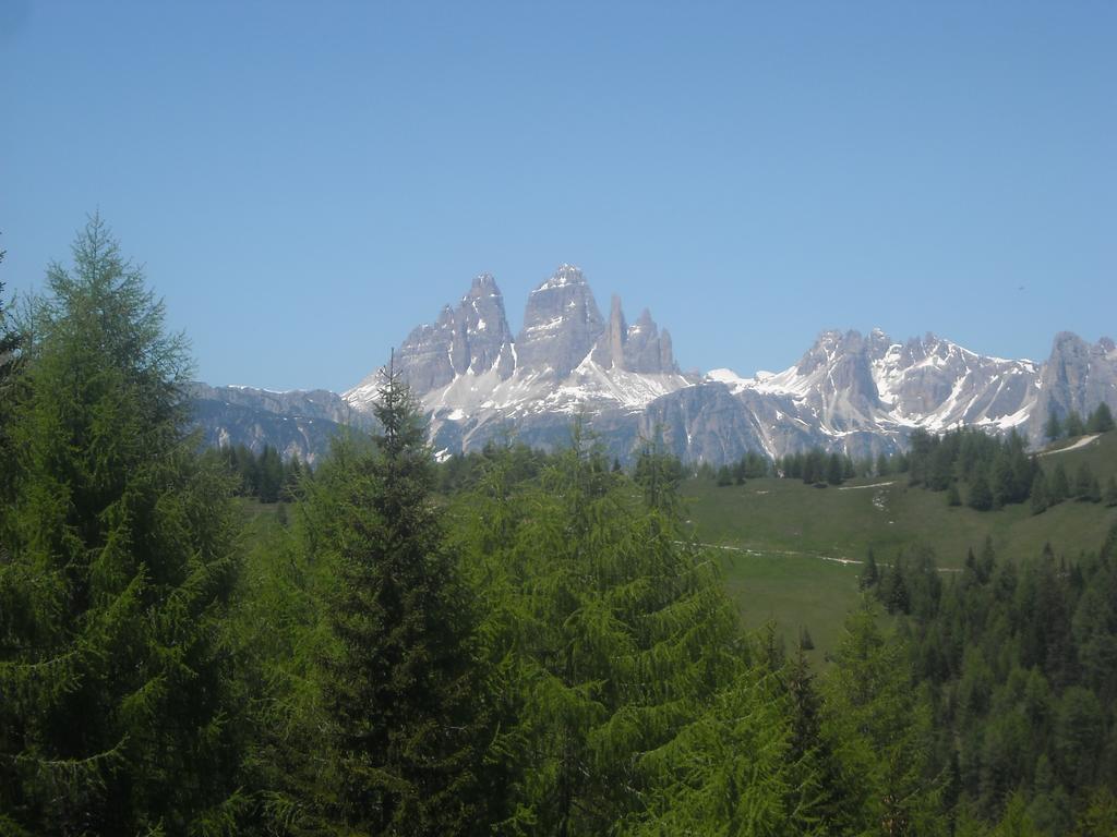 Fabbricato Indipendente Centro Apartment Lozzo Cadore Bagian luar foto
